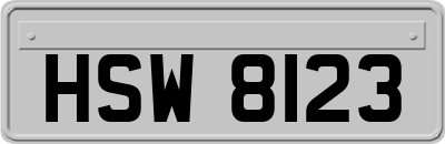 HSW8123