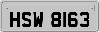 HSW8163