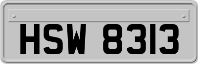 HSW8313