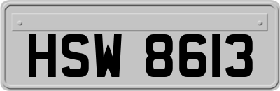 HSW8613
