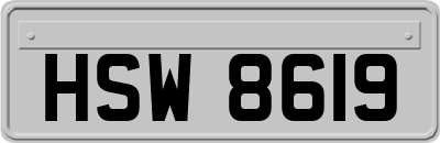 HSW8619