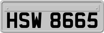 HSW8665