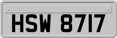 HSW8717
