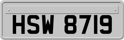HSW8719