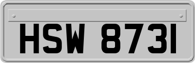 HSW8731