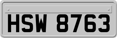 HSW8763