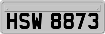 HSW8873