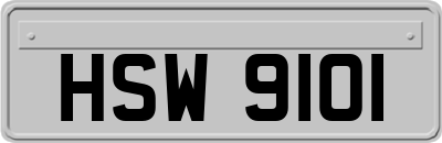 HSW9101