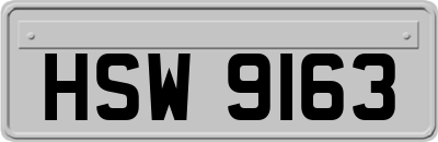 HSW9163