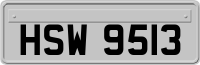 HSW9513
