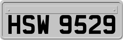 HSW9529