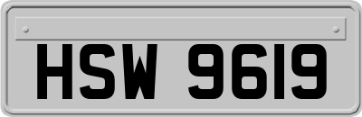 HSW9619