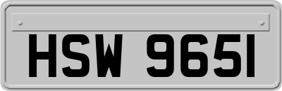 HSW9651