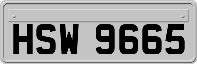 HSW9665