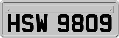 HSW9809