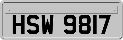 HSW9817