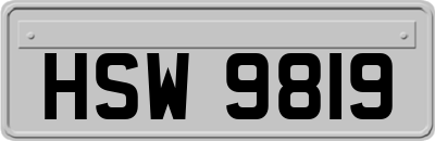 HSW9819