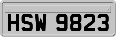 HSW9823