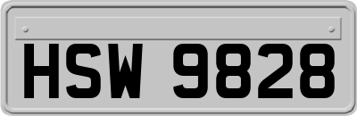 HSW9828