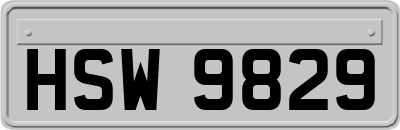 HSW9829