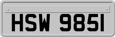 HSW9851