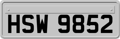 HSW9852