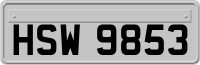 HSW9853