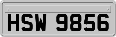 HSW9856