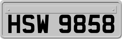 HSW9858