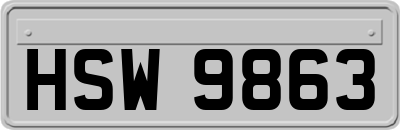 HSW9863