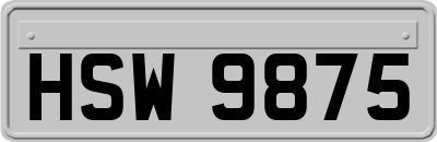 HSW9875