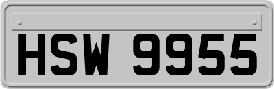 HSW9955
