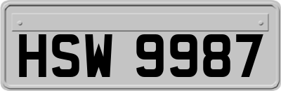 HSW9987