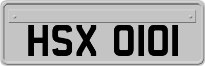 HSX0101