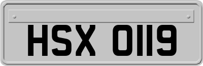 HSX0119