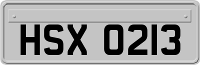 HSX0213