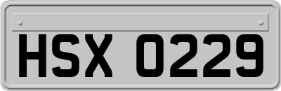 HSX0229
