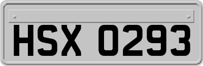 HSX0293