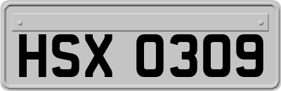 HSX0309