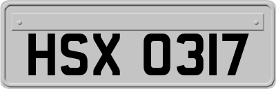 HSX0317