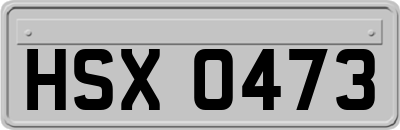 HSX0473