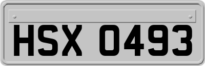 HSX0493
