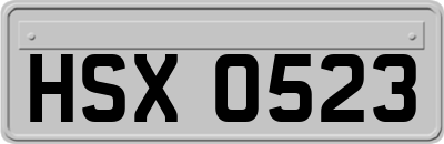 HSX0523