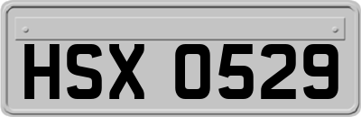 HSX0529