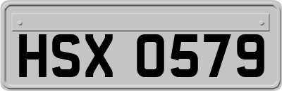 HSX0579
