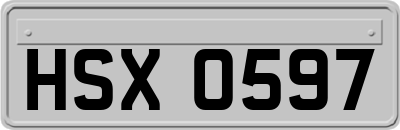 HSX0597
