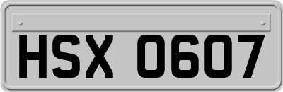 HSX0607