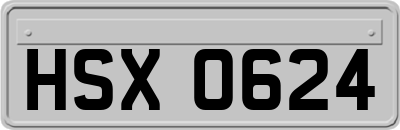 HSX0624