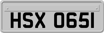HSX0651