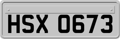 HSX0673